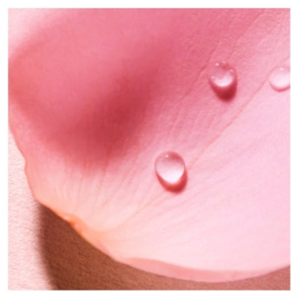 Very rose Rose Fragrant Water 100 ML