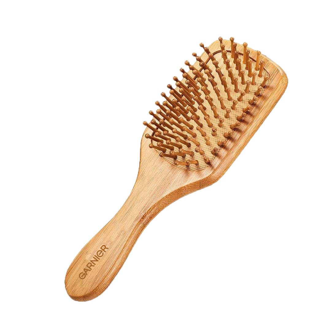 Gift - Garnier Hair Brush