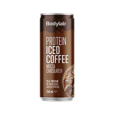 Protein 25 G Ice 250 ML