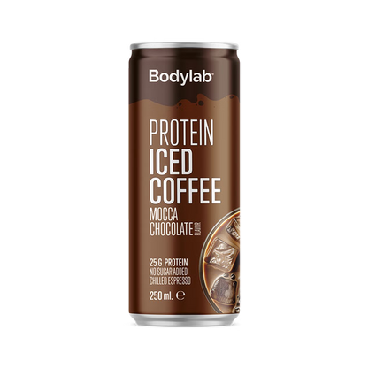 Protein 25 G Ice 250 ML