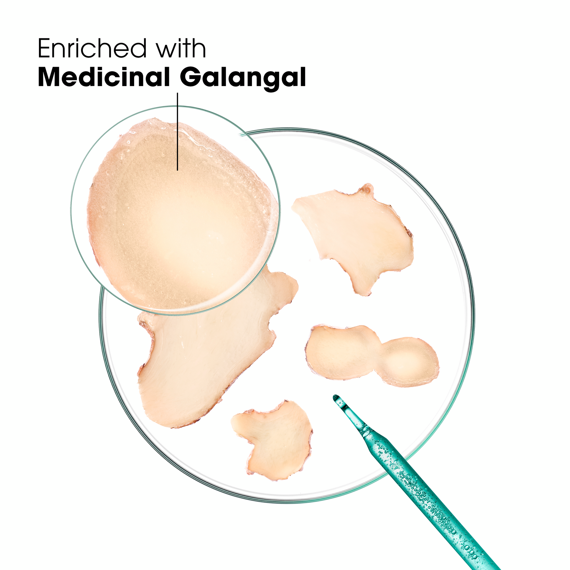 Galangal Anti-dandruff Treatment and Rebalancing Shampoo